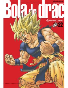 Bola de Drac Definitiva nº 22 34